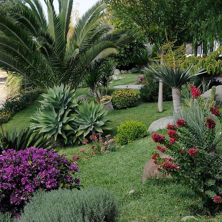 Casa Ischitana Forio (Isola d'Ischia) Exterior foto