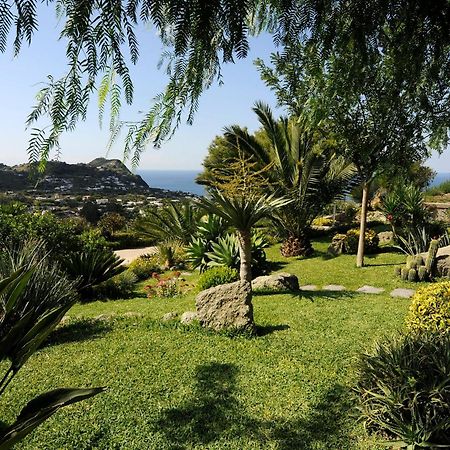 Casa Ischitana Forio (Isola d'Ischia) Exterior foto