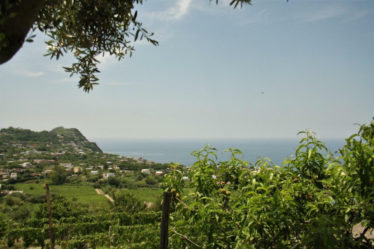Casa Ischitana Forio (Isola d'Ischia) Exterior foto