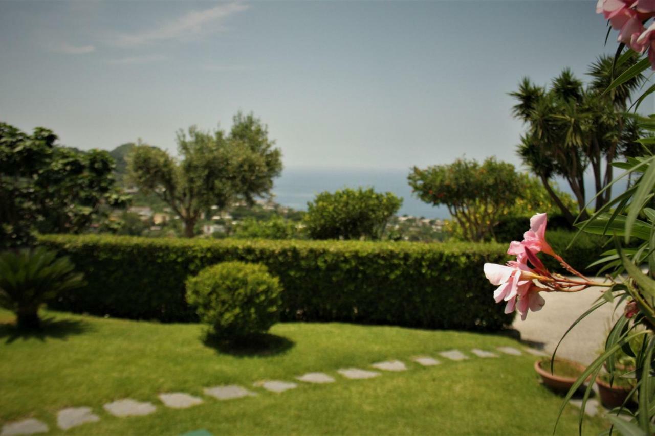 Casa Ischitana Forio (Isola d'Ischia) Exterior foto
