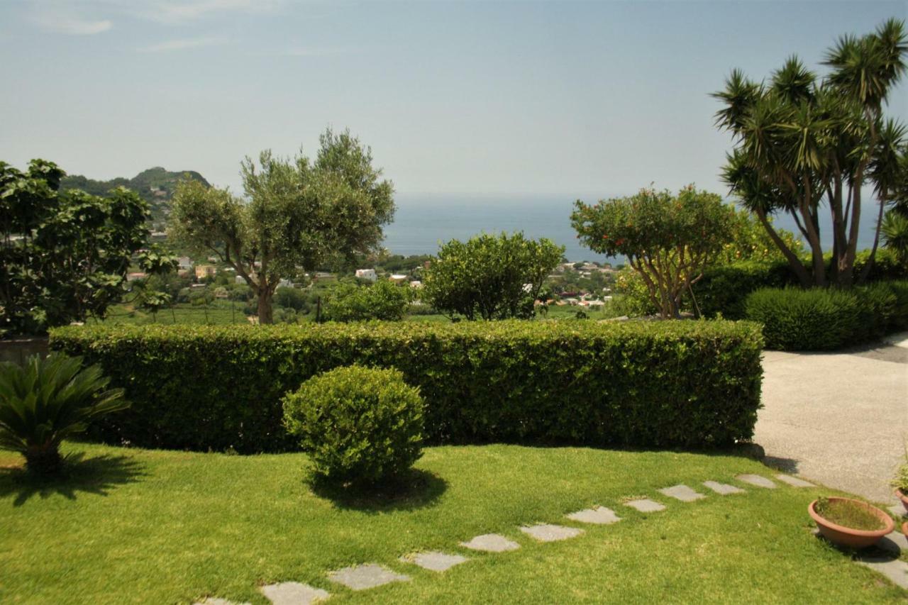 Casa Ischitana Forio (Isola d'Ischia) Exterior foto